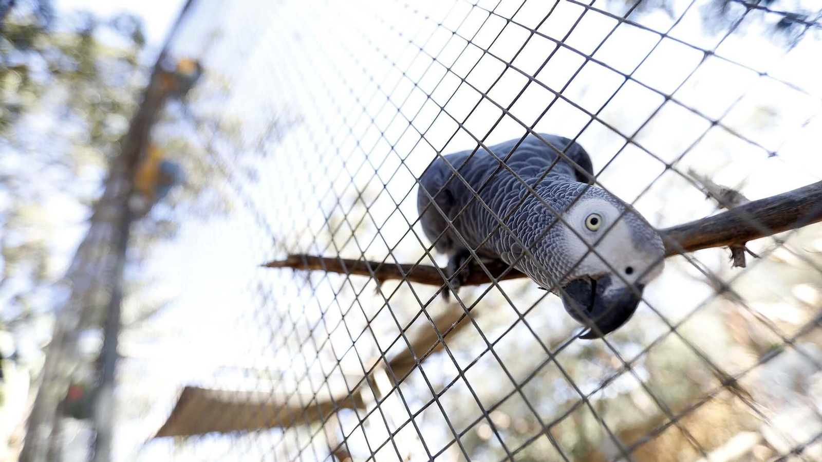 Las fotos del Zoo de Castellar de la Frontera