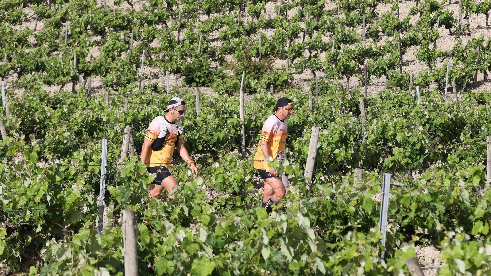 Búscate en la Sherry Maratón 2025 de Jerez (I)