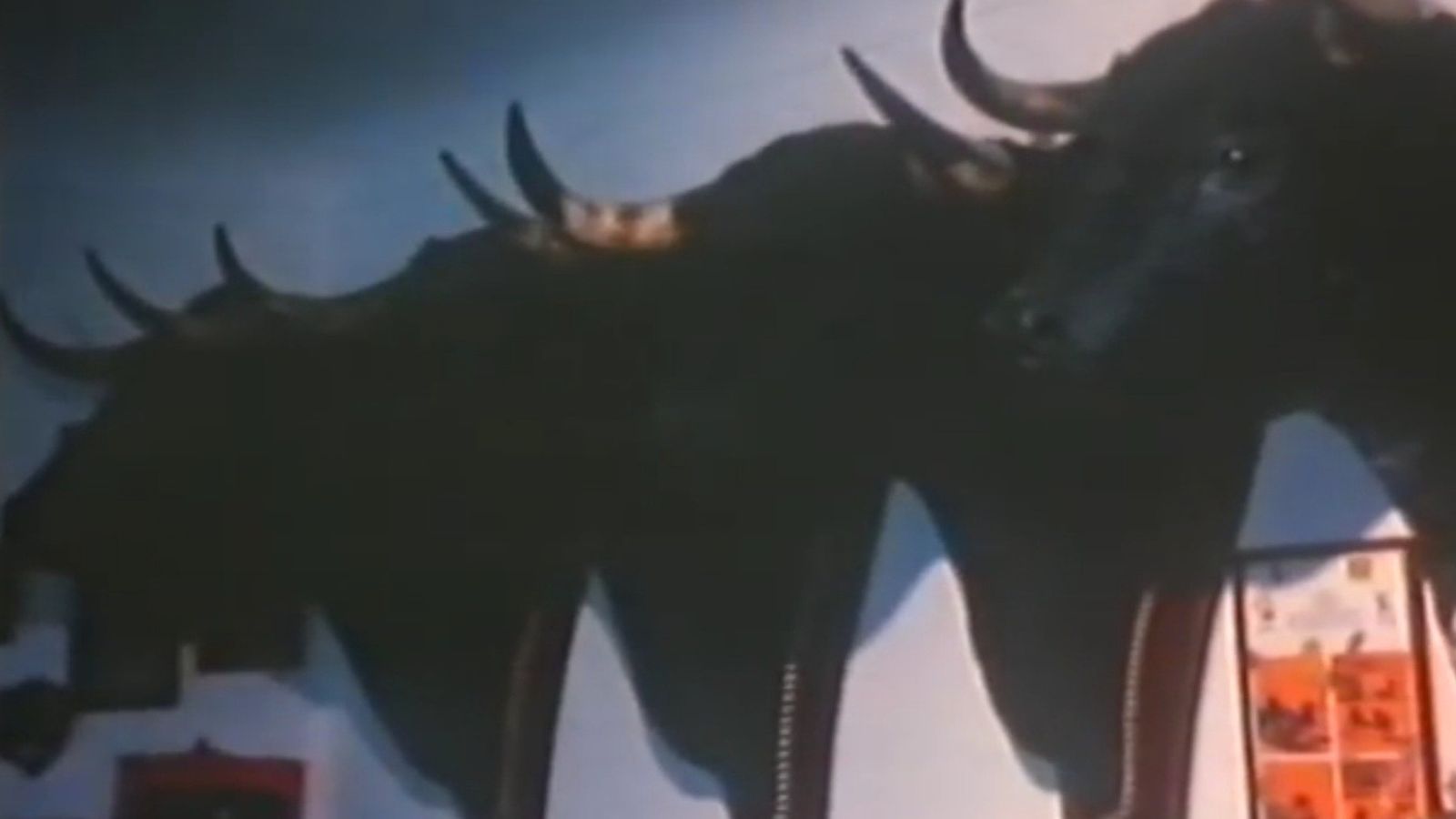 Las cabezas de toros en uno de los salones de Cantora en 1984