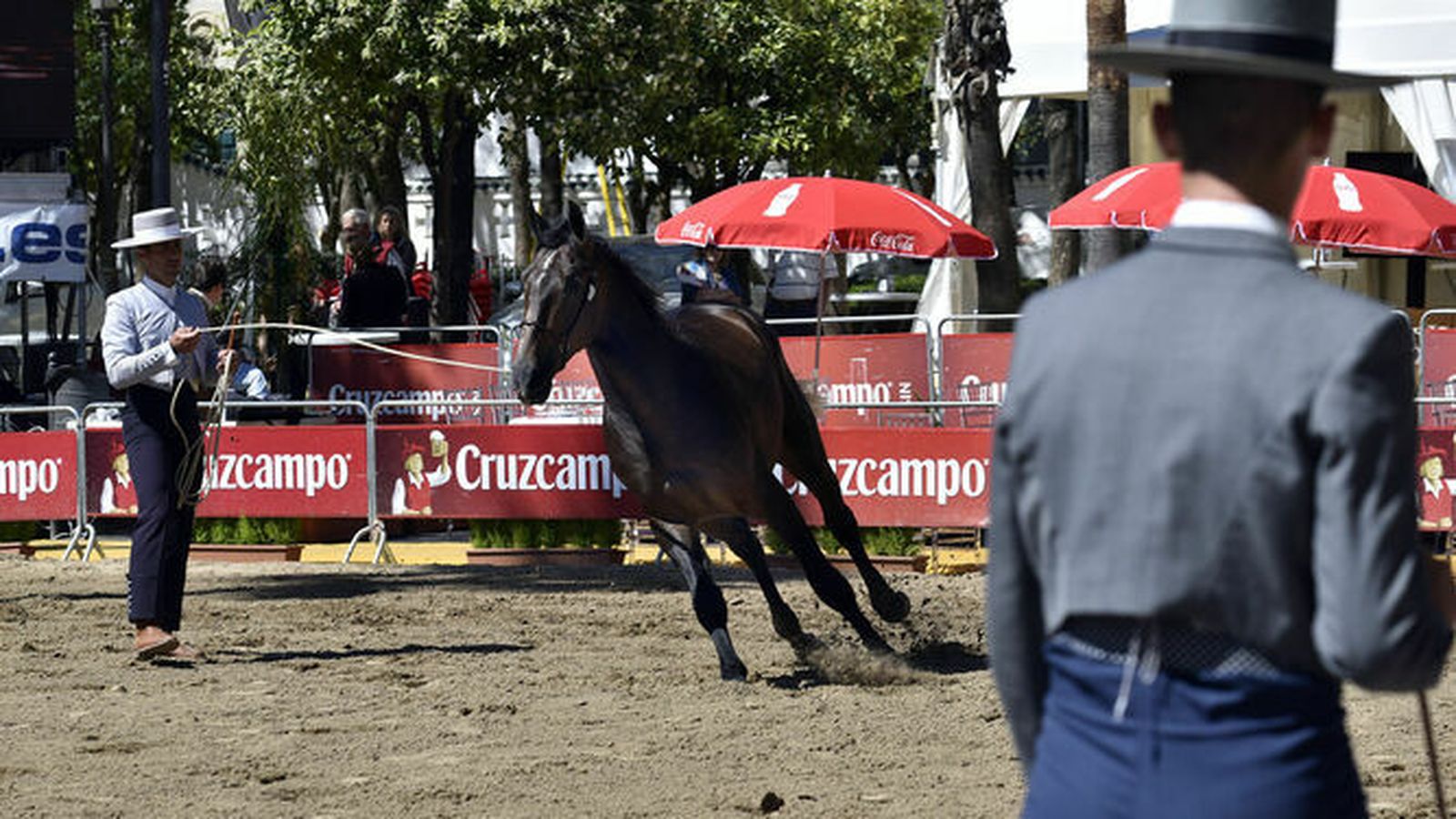 Un concurso morfológico en Sevilla