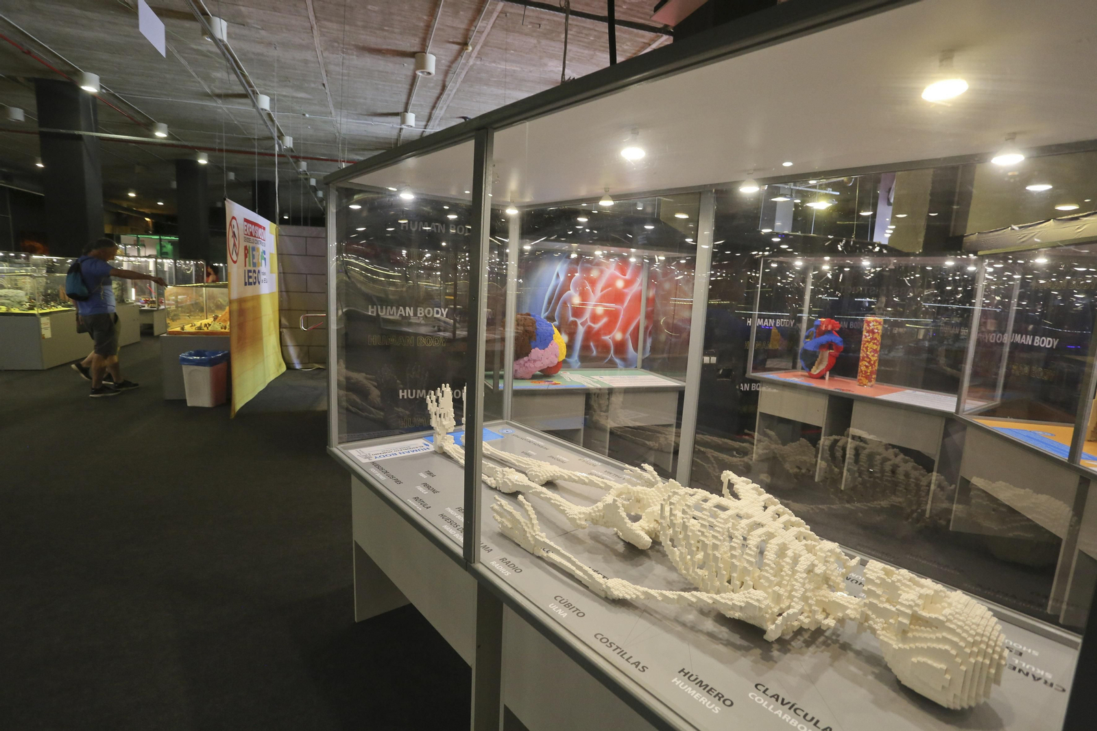 Las fotos de la exposición de Lego en el Muelle Uno de Málaga