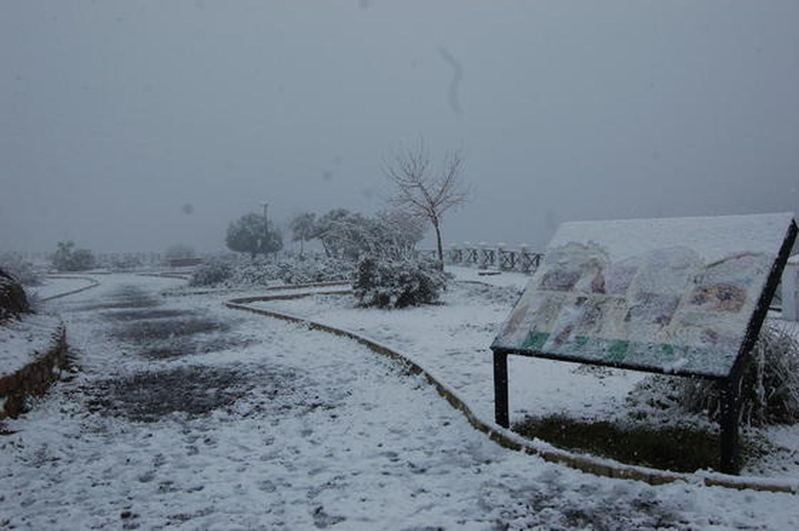 El Muriano

Foto: De Arellano