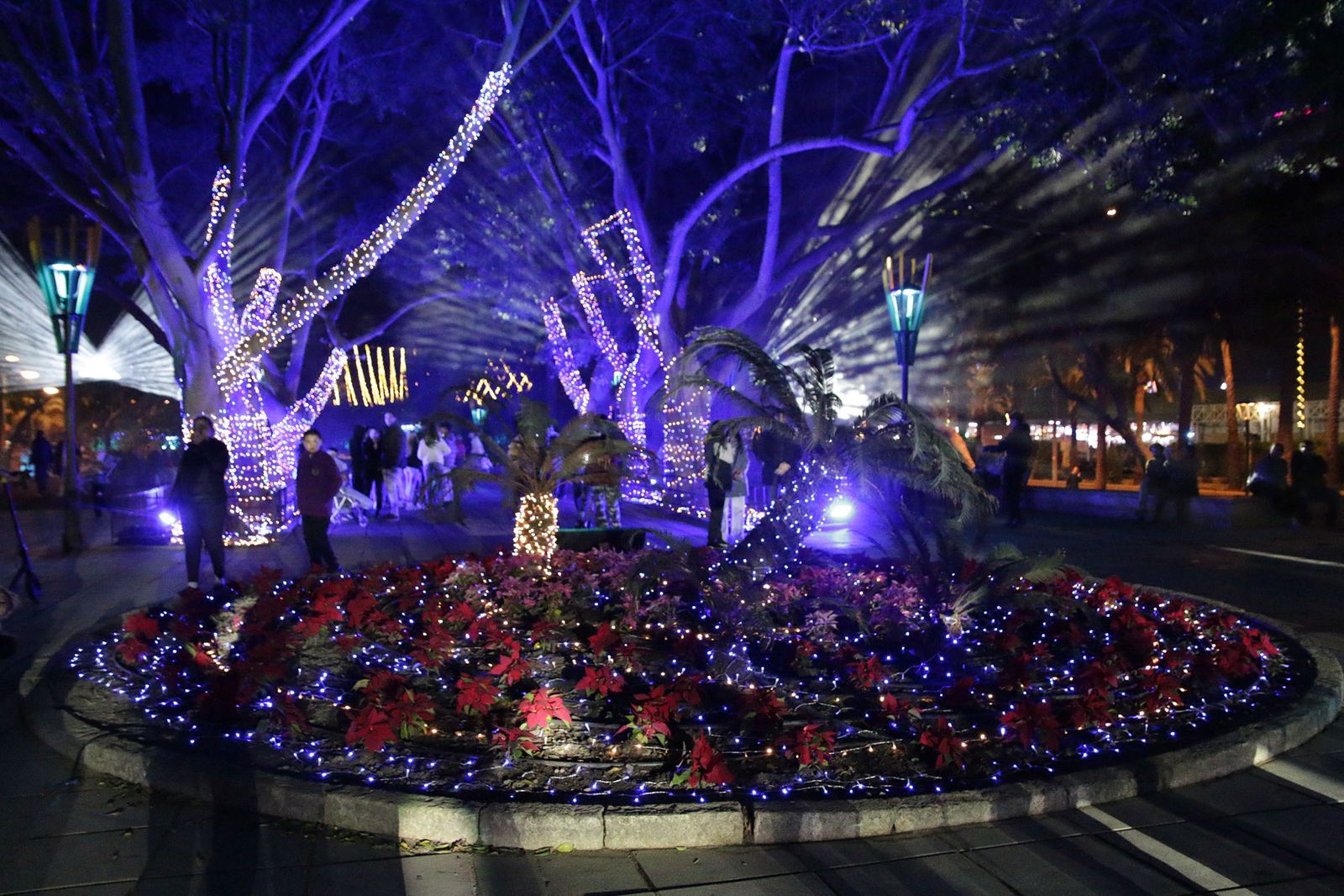 Así brilla el parque Nicolás Salmerón con el espectáculo 'Posidonia'