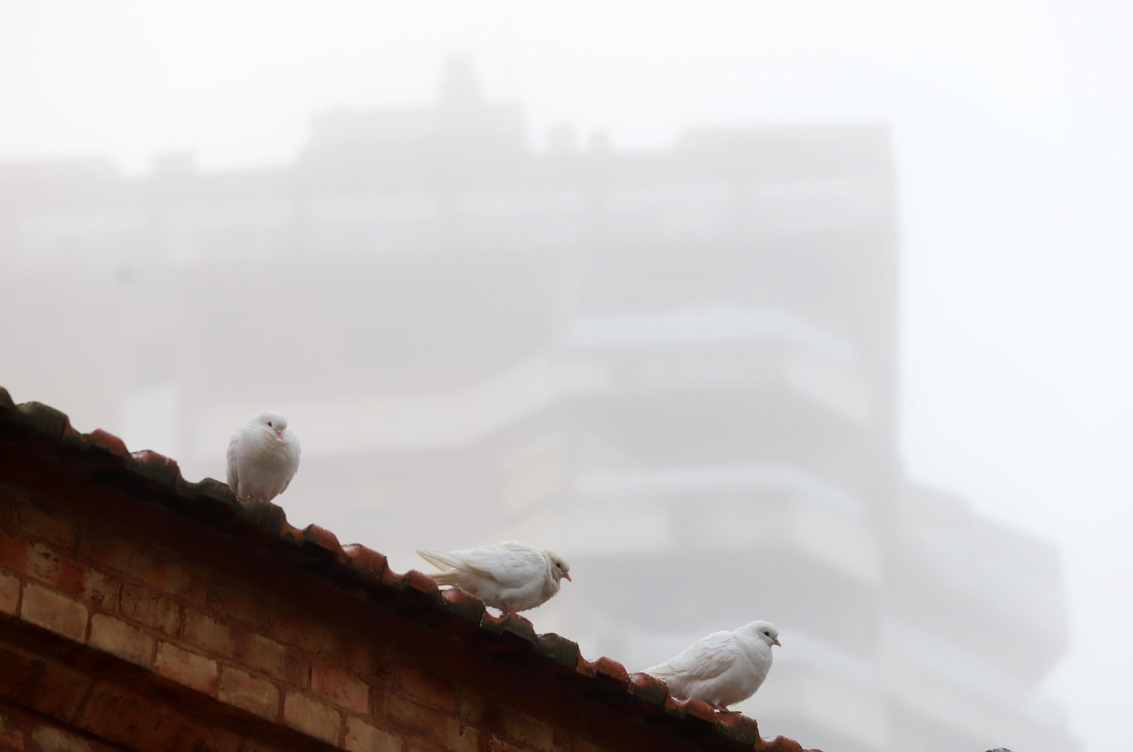 Imágenes de la mañana de niebla en Huelva