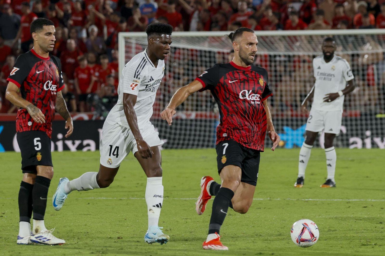 Las imágenes del Mallorca - Real Madrid