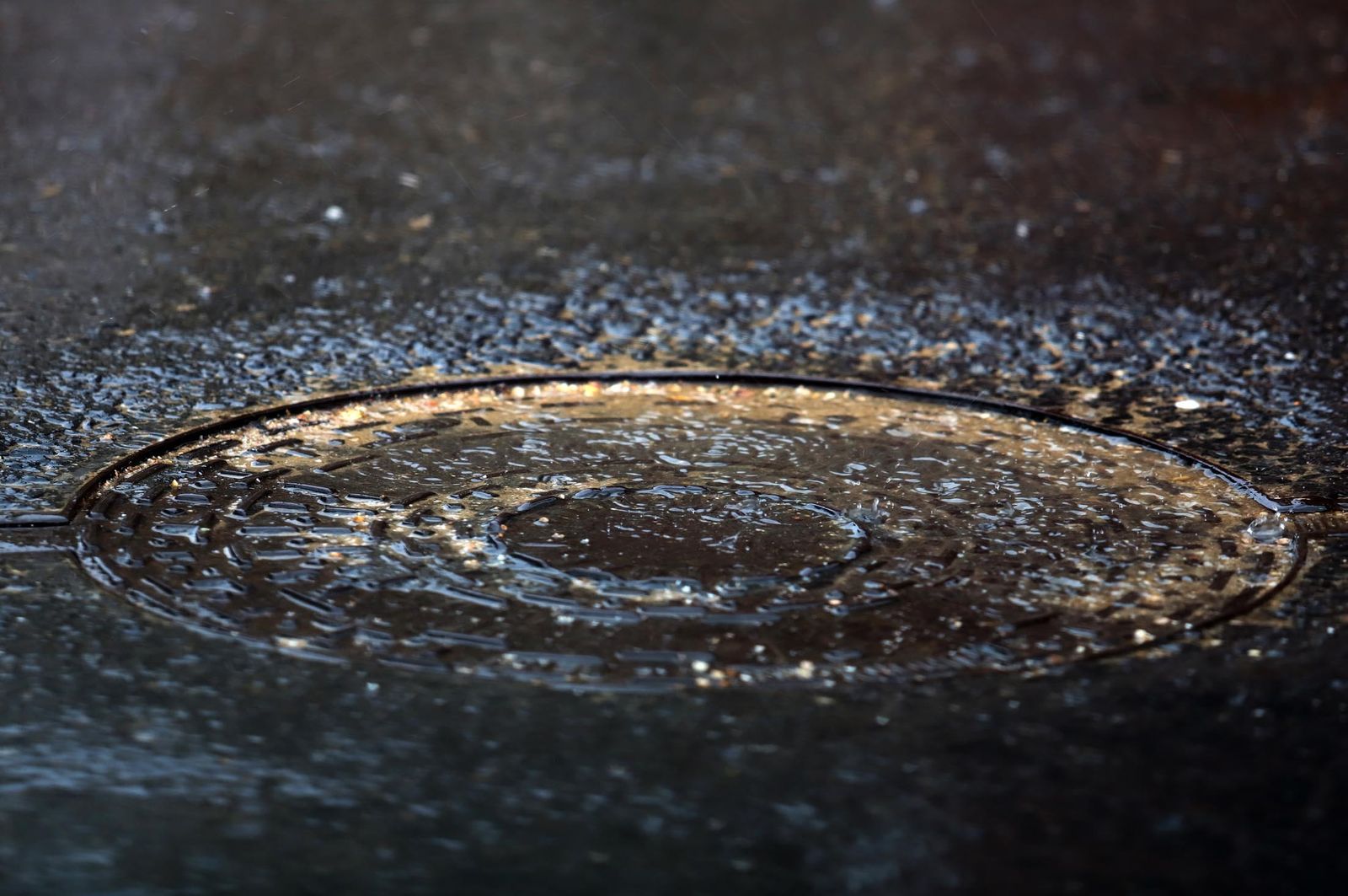 Tarde de lluvia en imágenes