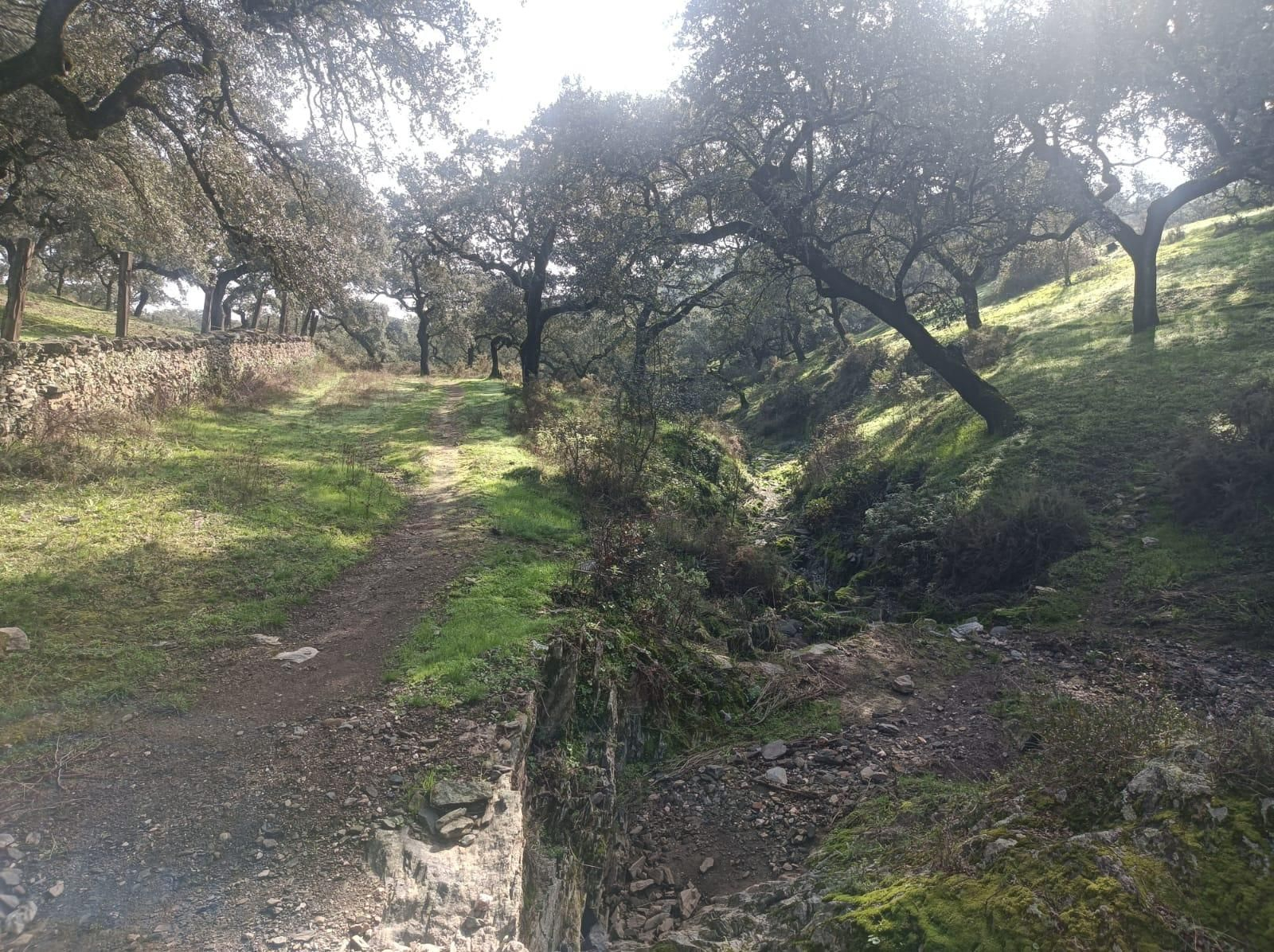 El paisaje es de gran belleza y tranquilidad.