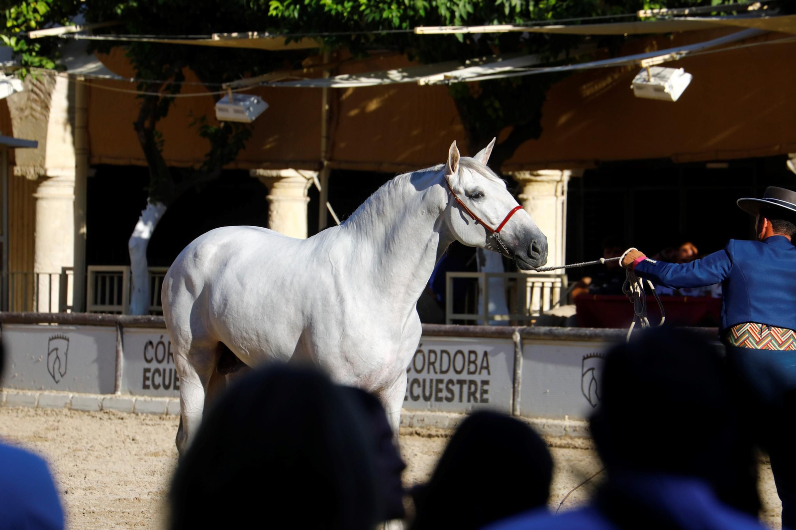 Cabalcor Cabalcor