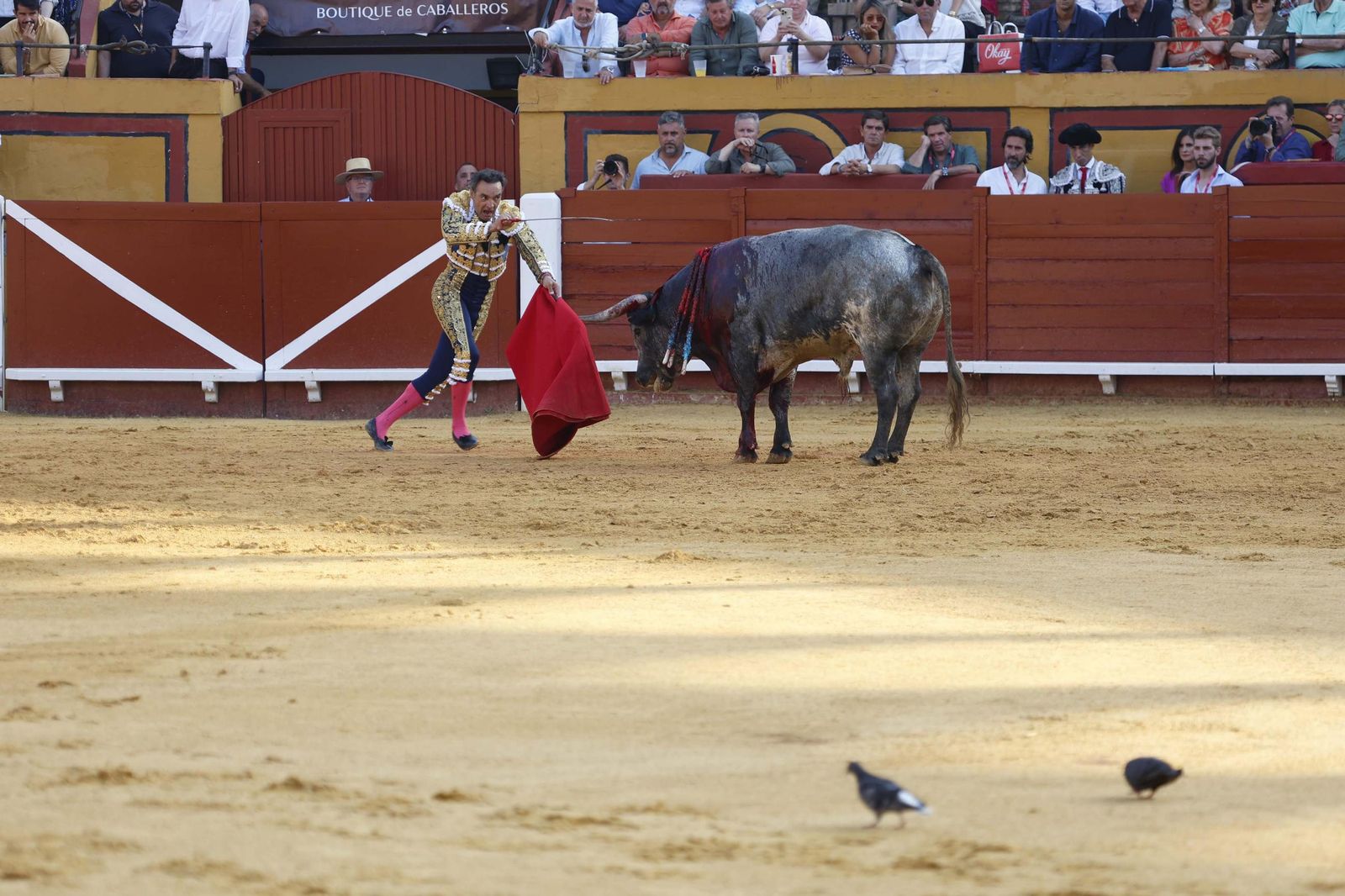 Una decepcionante corrida de Miura con Esaú Fernández a hombros cierra Algeciras