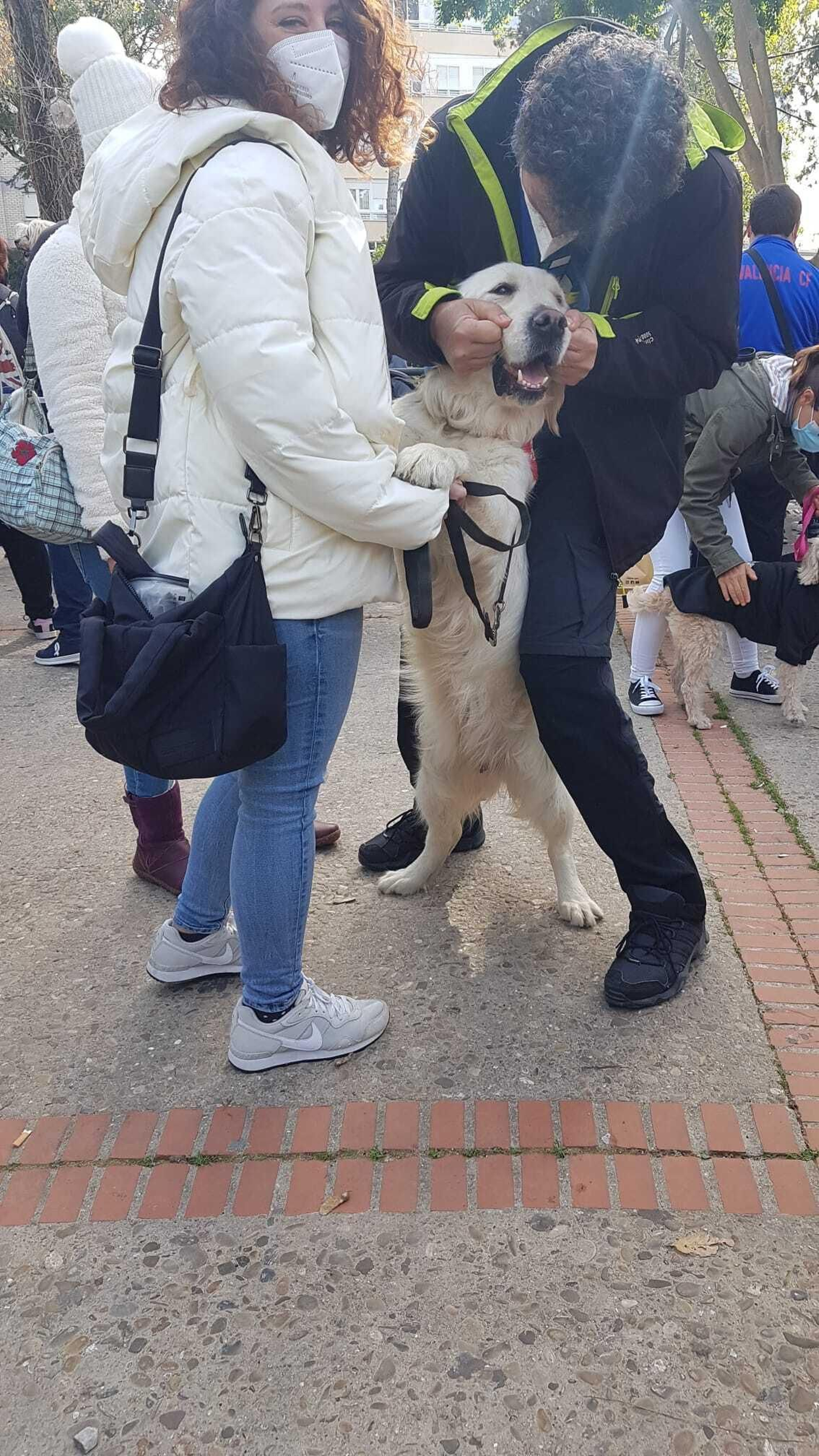 Muestras de cariño a un perro. Muestras de cariño a un perro.