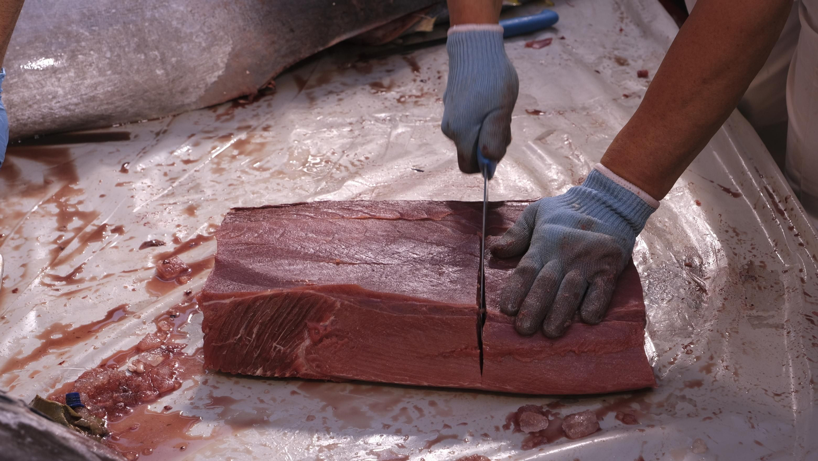 Jornadas del ronqueo del atún rojo de almadraba, en el Espacio Gastrómico Tony García.