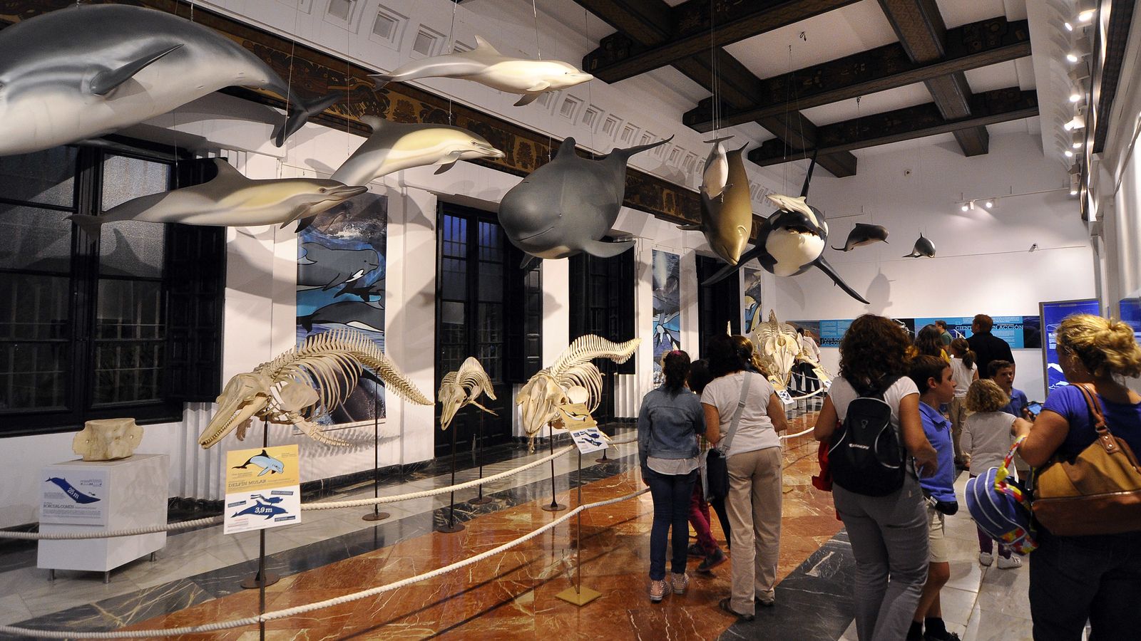 Casa de las Ciencias (CSIC). La Noche Europea de los Investigadores 2013