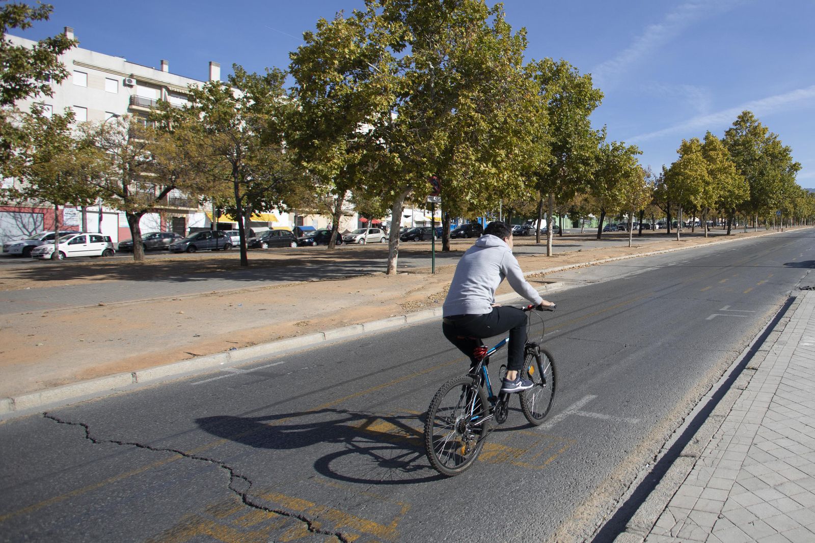 Fotos de cafeterías, parques y la 'Marcha Verde' vacía en el domingo de Granada