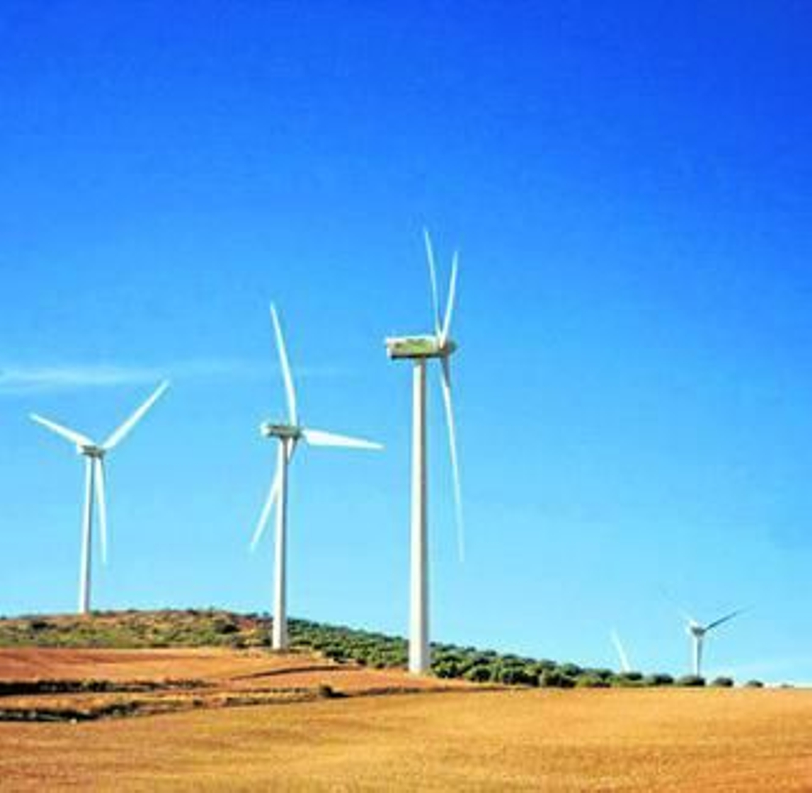 Uno de los parques eólicos de la provincia.