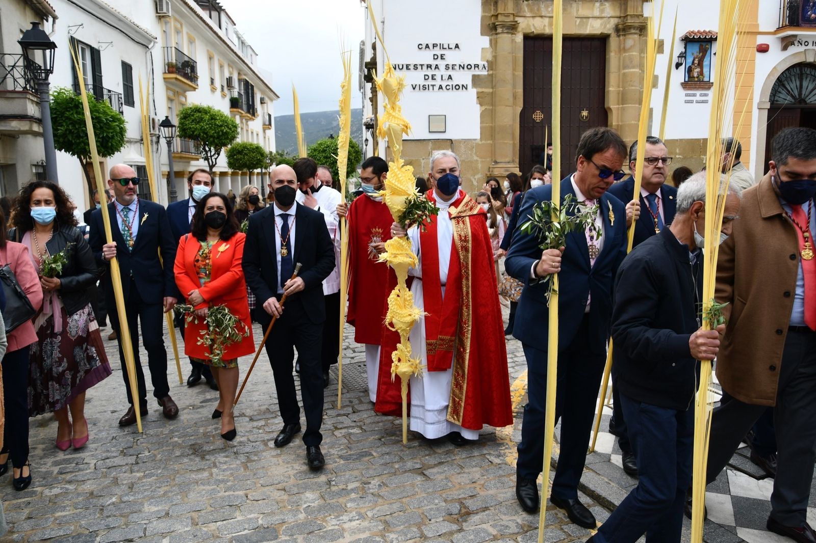 Las fotos del domingo de palmas y olivos en San Roque