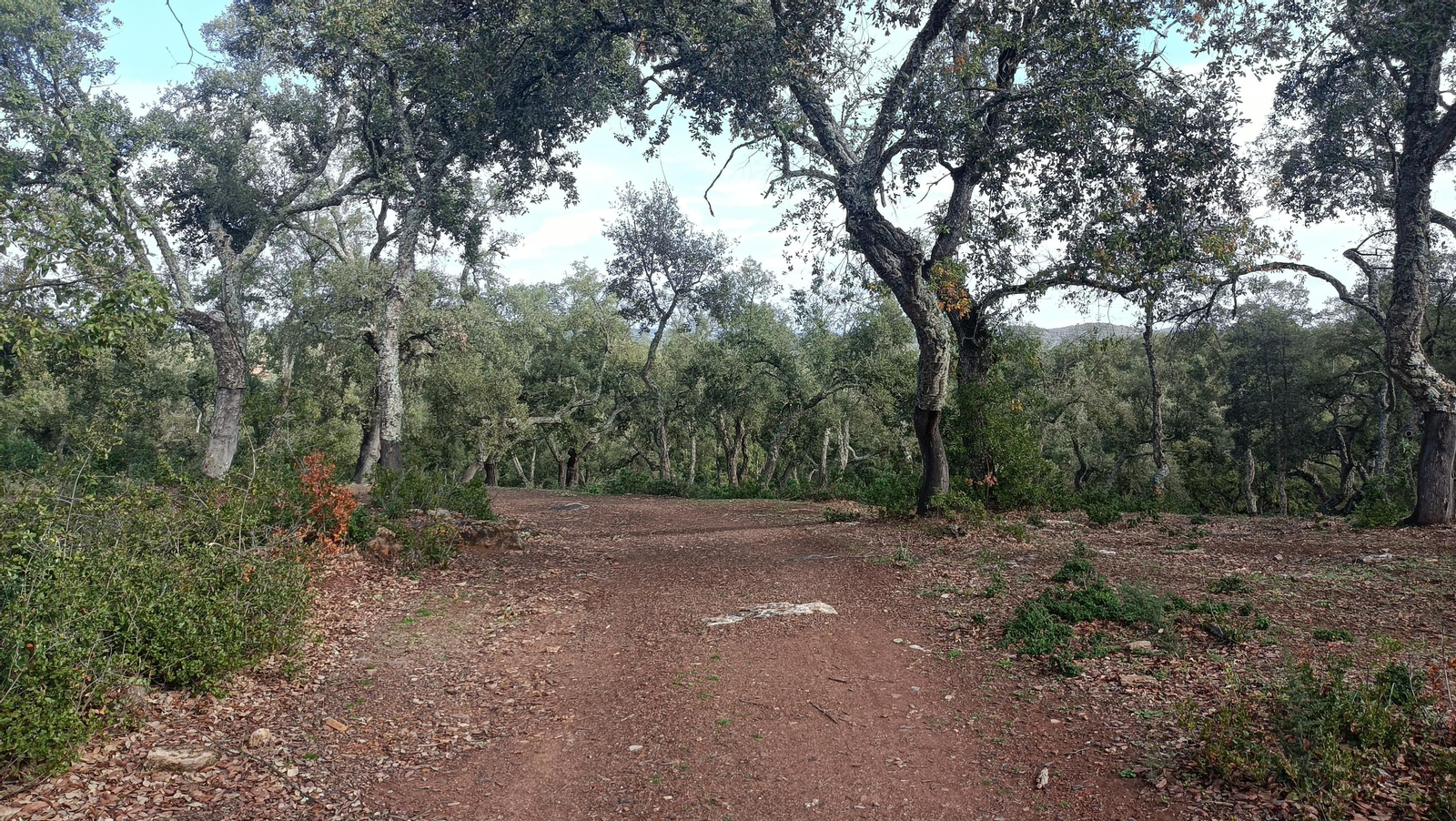 La bajada deja bonitas estampas.
