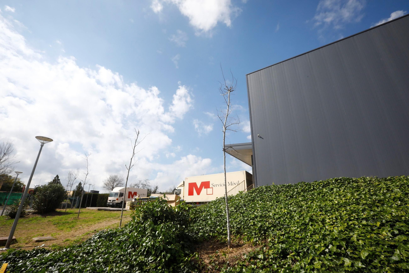 Las zonas verdes repobladas del Hospital Reina Sofía de Córdoba, en imágenes