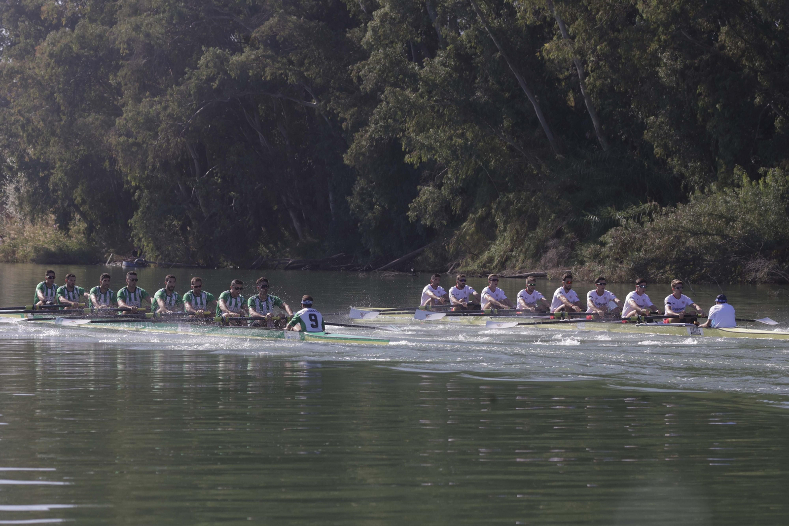 Las mejores imágenes de la Regata Sevilla-Betis
