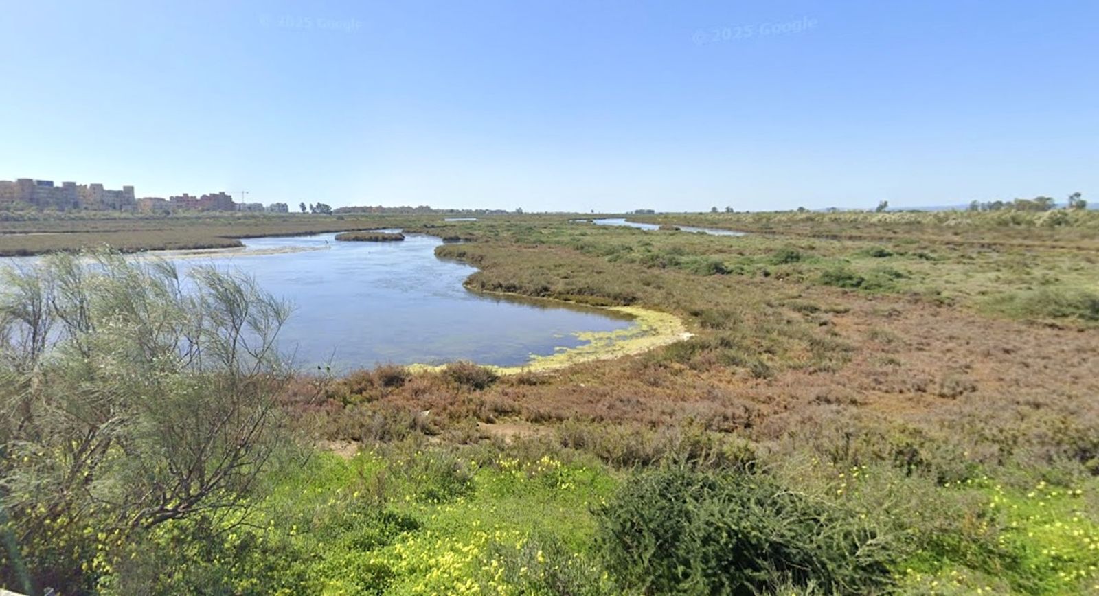 Ayamonte logra que uno de sus espacios más valiosos sea declarado humedal protegido  Subtítulo: