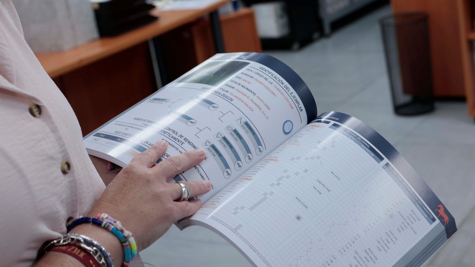 Un ejemplar del Libro Genealógico del Pura Raza Española.