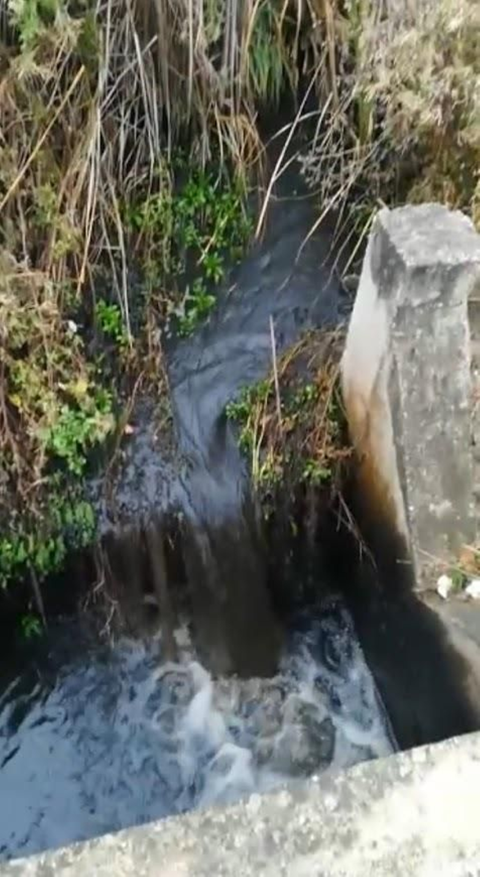 Una imagen del vertido.