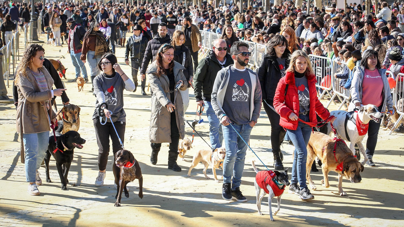 Búscate en San Antón de Jerez