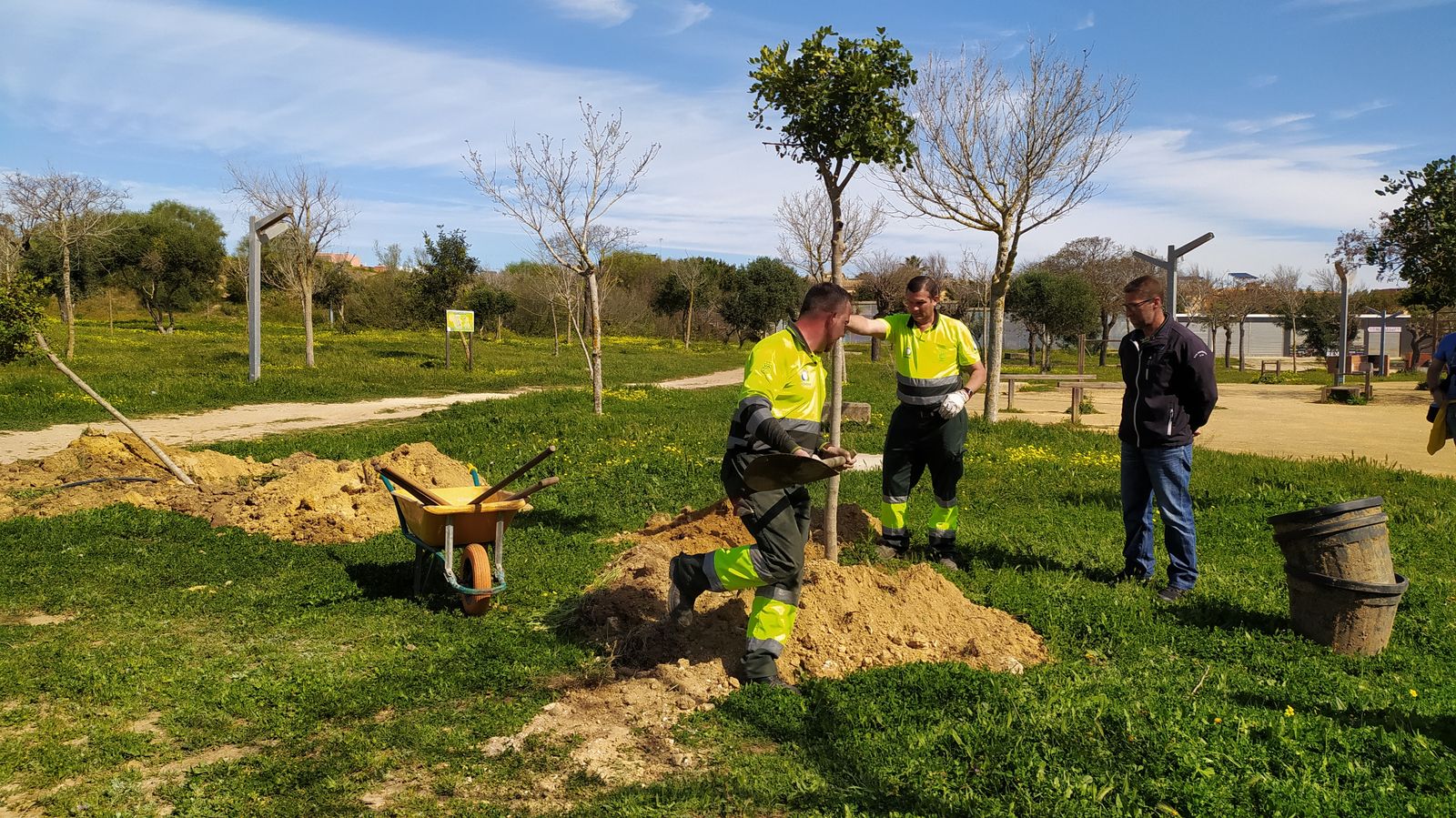 Así ha sido la plantación de árboles en el Cerro por alumnos del colegio Camposoto