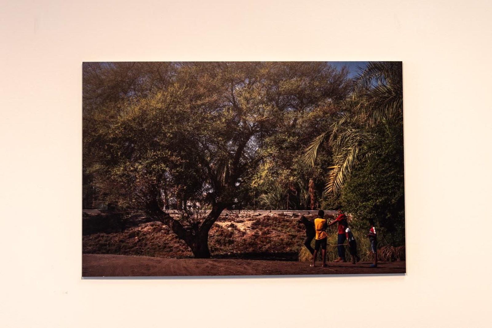 Egipto en Jaén: los bosques sagrados del país del Nilo cobran vida en imágenes