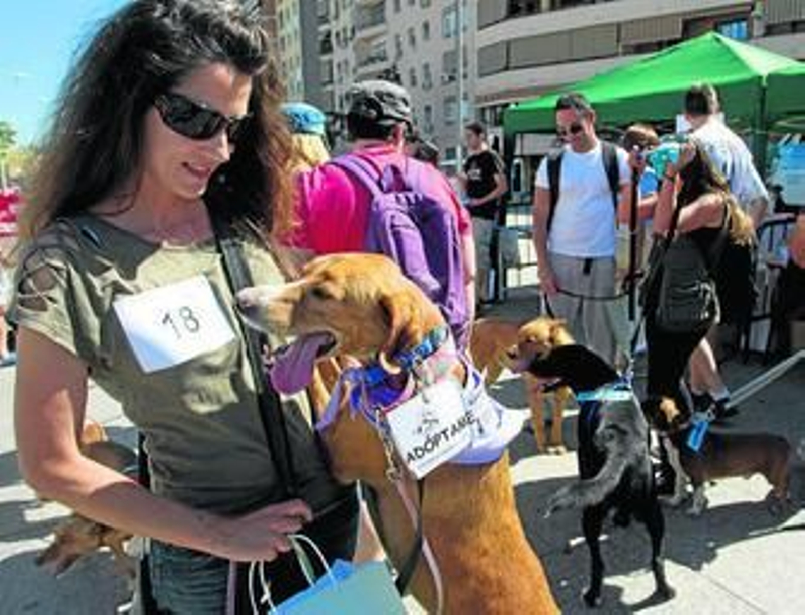 Una quincena de voluntarios de la protectora acudieron a la jornada con sus perros en busca de una familia adoptiva.