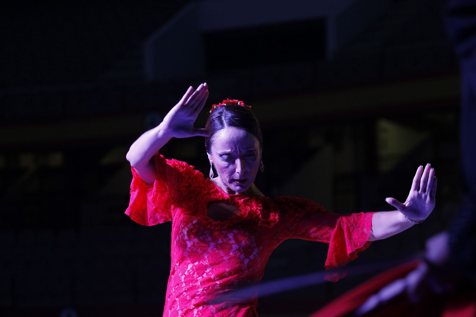 Fotogalería presentación carteles Feria Taurina Roquetas de Mar 2019