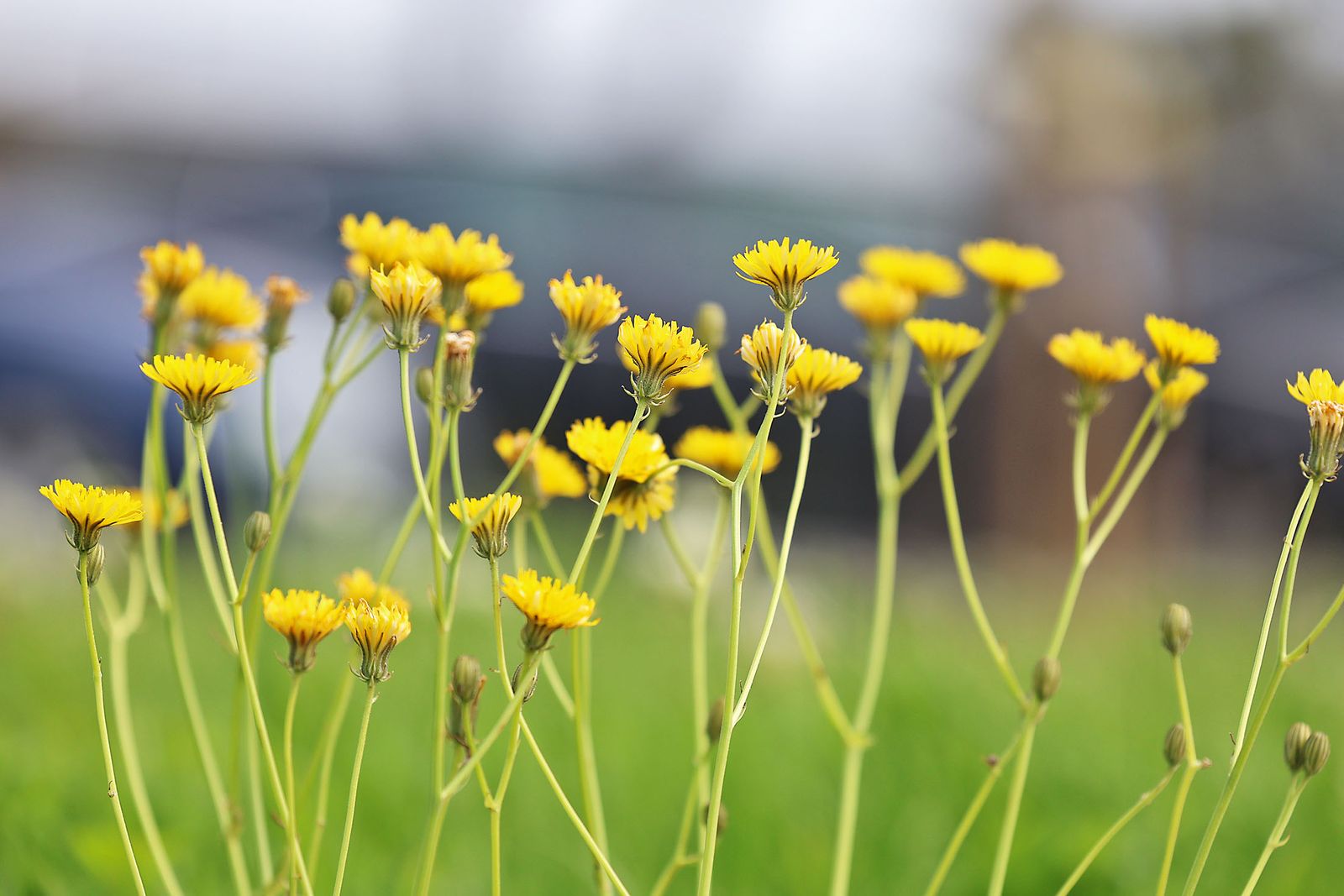 Las imágenes más destacadas del sábado 22 de marzo en Huelva