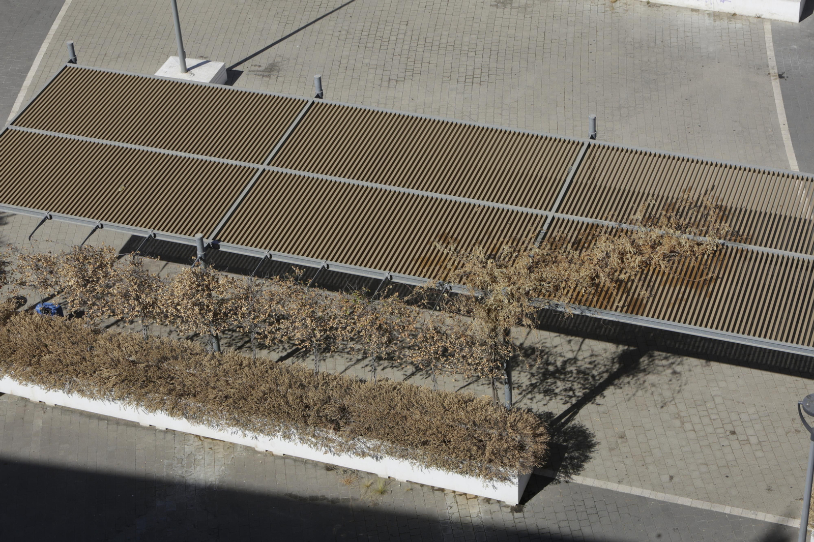 Abandono y mal estado de la plaza entre Mercadona y Plaza de Armas