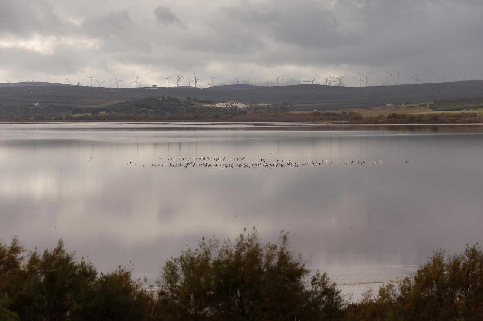Los municipios de Málaga dónde más frío hace estos días