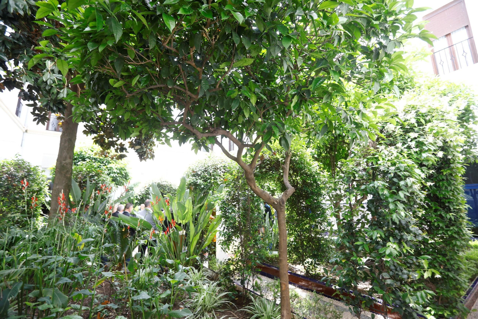 La Subdelegación de Defensa abre su patio al público