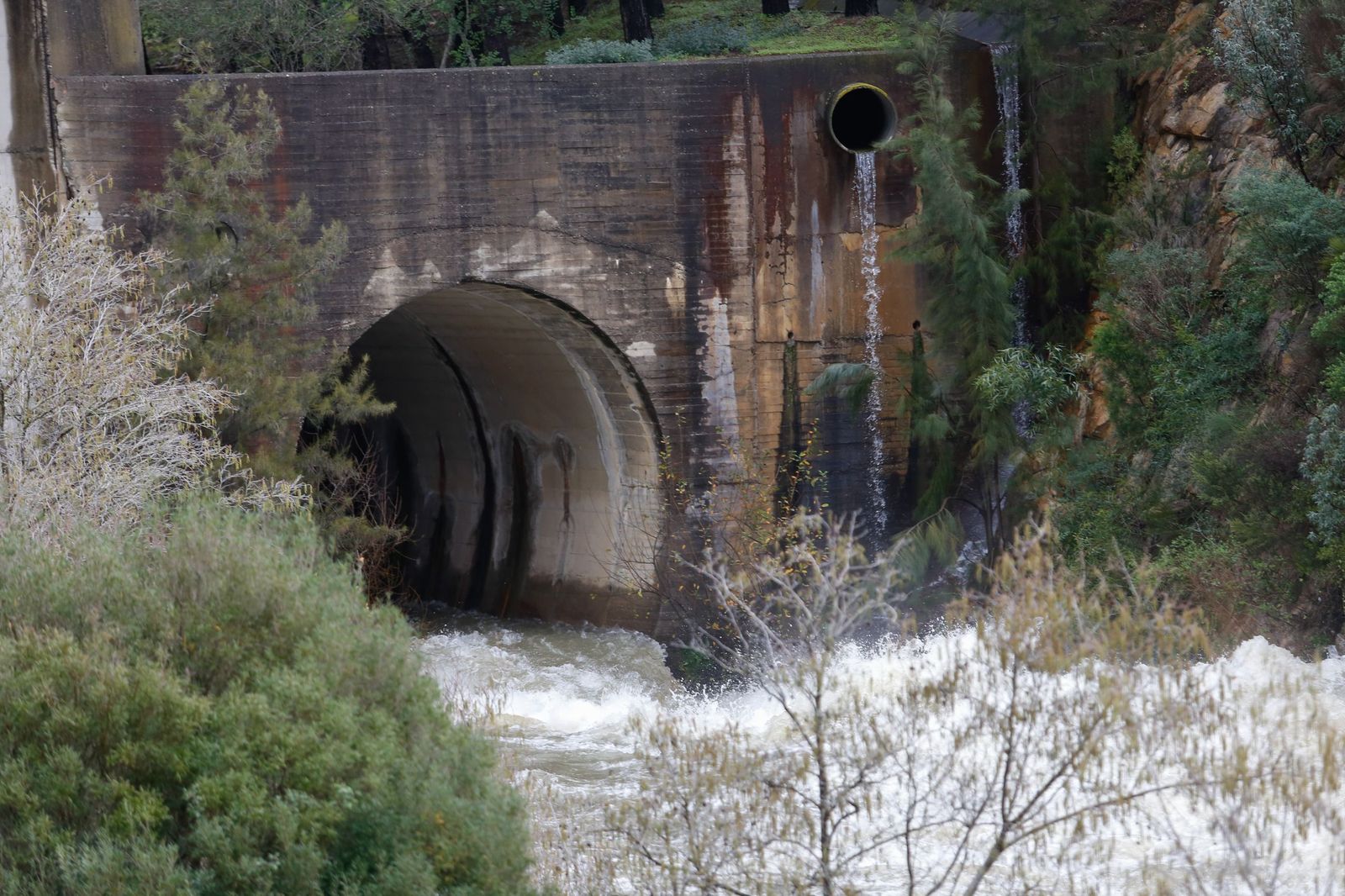 Las fotos del desembalse de agua en la presa de Charco Redondo de Los Barrios