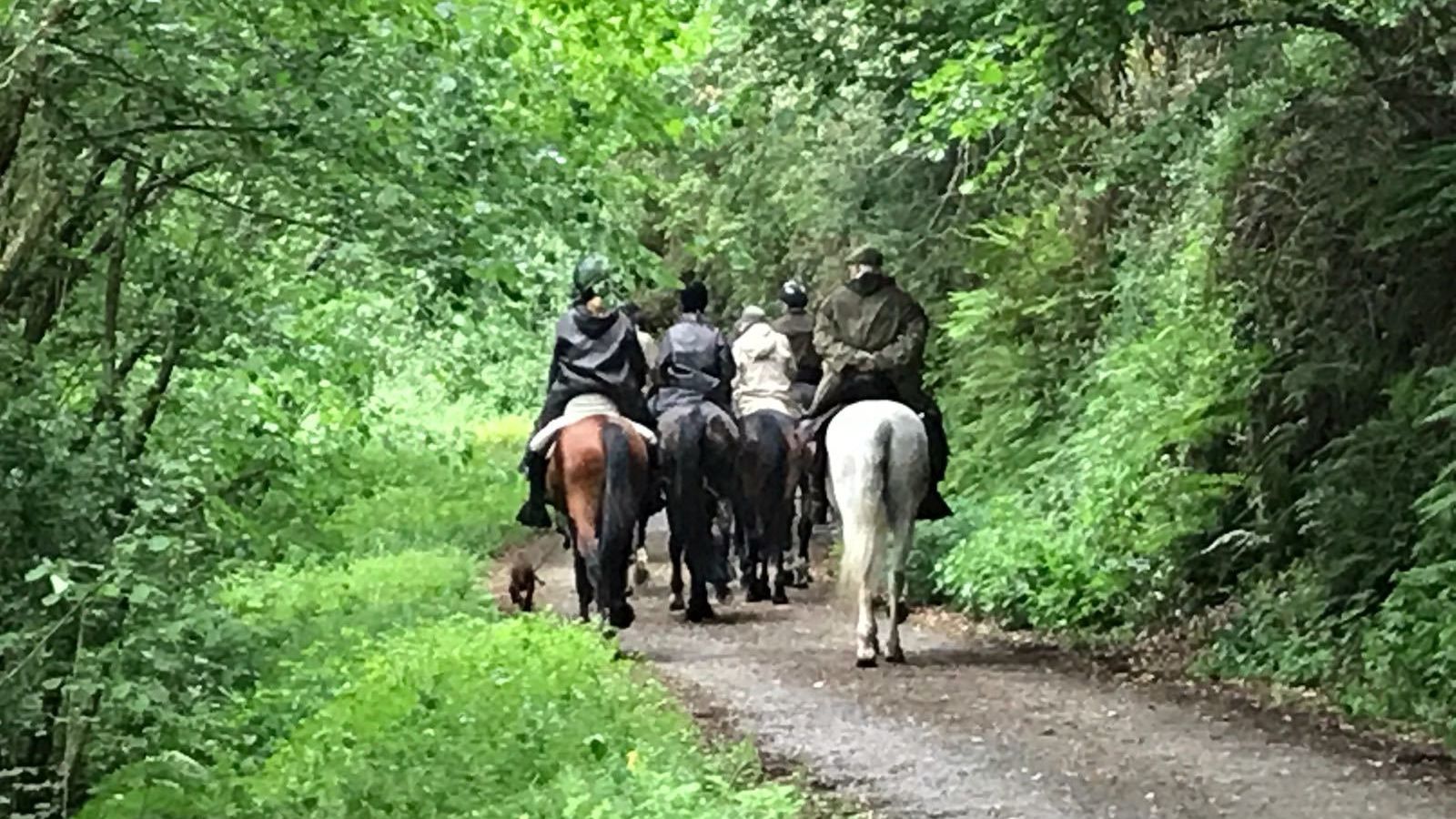 Varios jinetes en uno de los viajes de Aurelio Tagua camino de Santiago