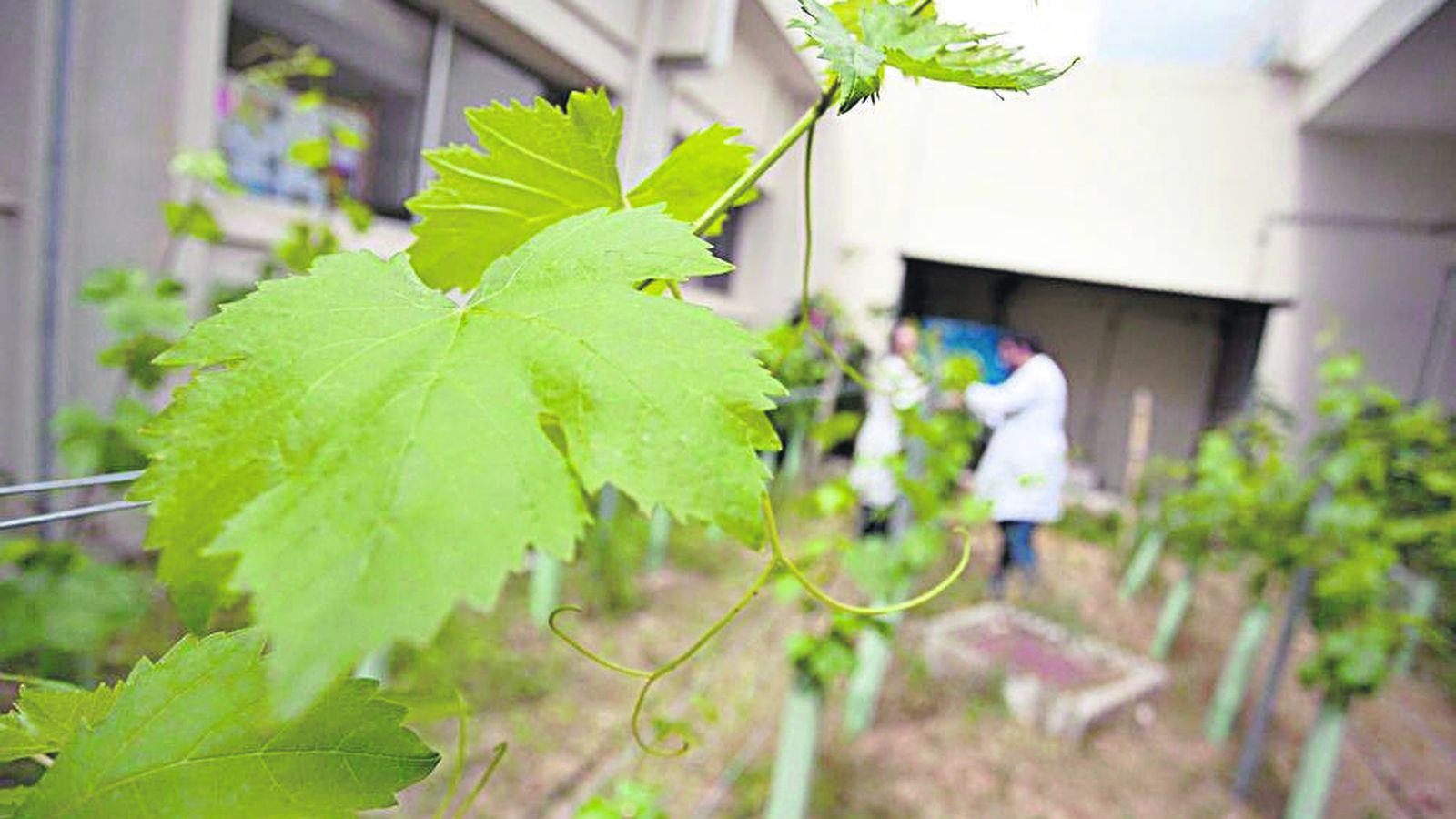 Entorno privilegiado con grupos reducidos, atención individualizada, profesorado experto o prácticas empresariales.