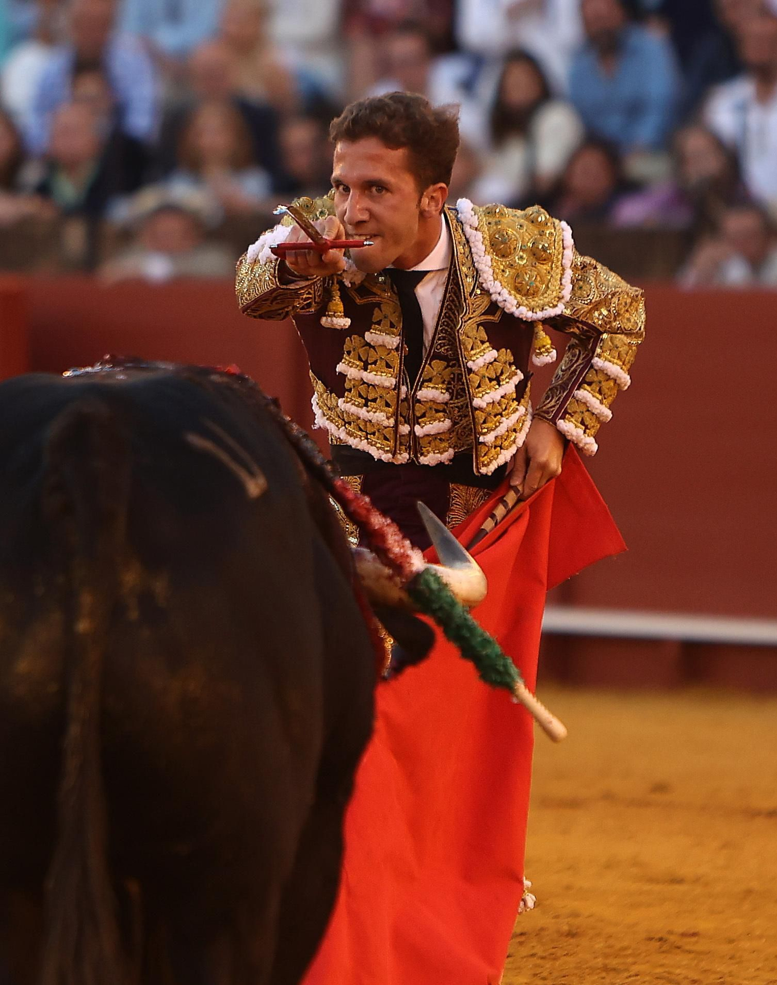 Las mejores imágenes de la corrida de hoy