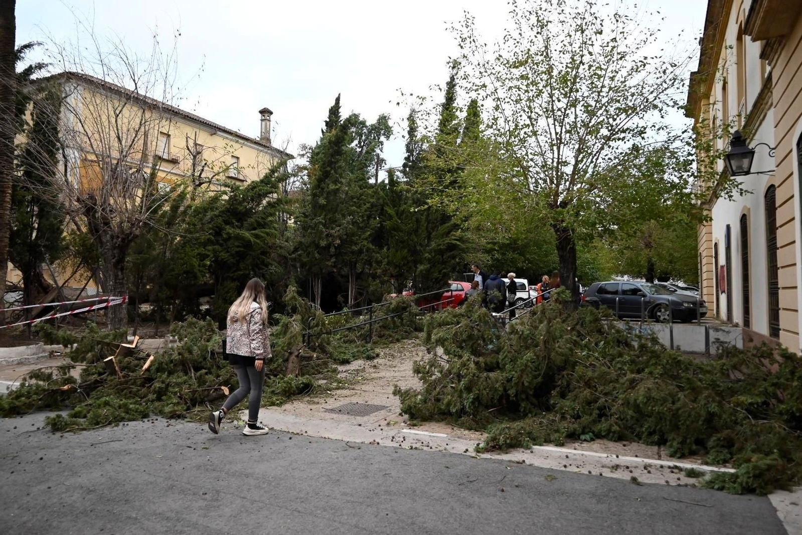 Destrozos de del temporal Bernard en el barrio de Levante.