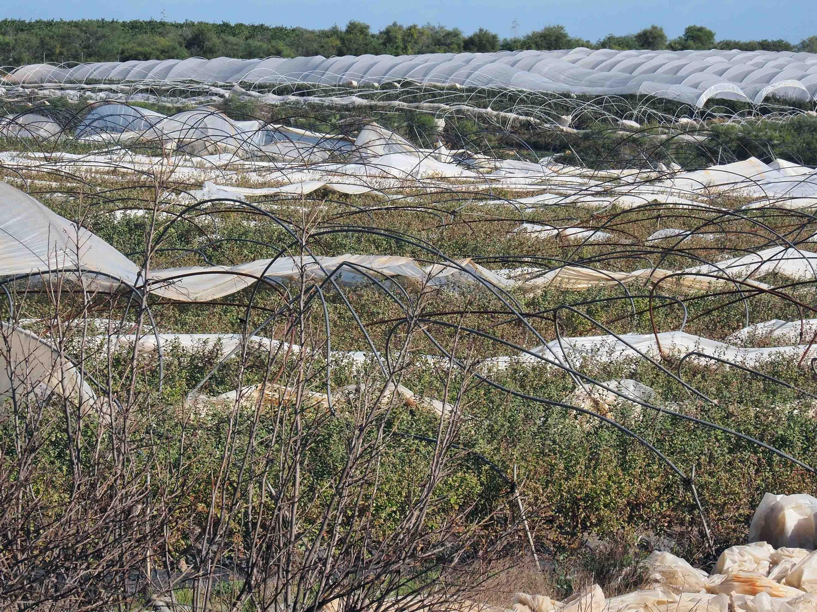 Imágenes de los daños causados por la violenta manga de viento en la provincia de Huelva