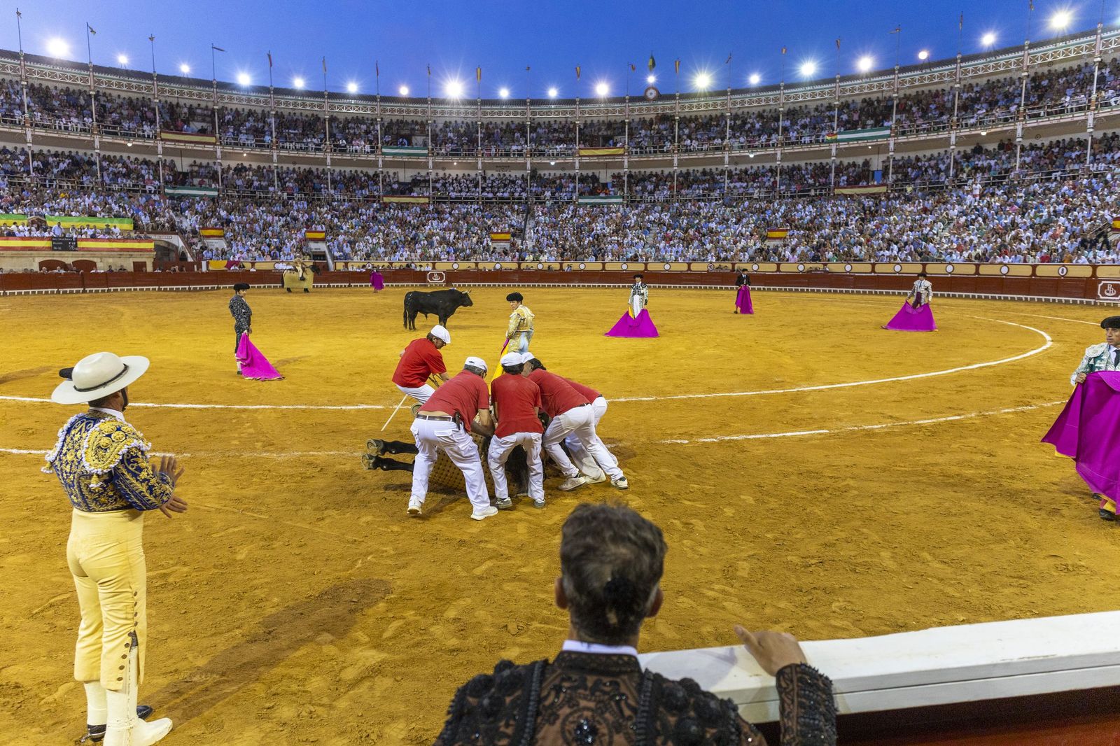 En imágenes, la última corrida de toros del verano en la plaza de El Puerto de Santa María