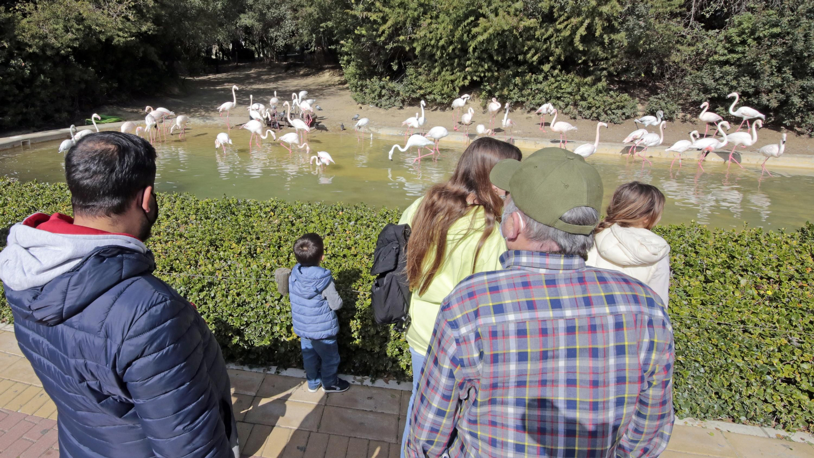69 aniversario del Zoo de Jerez