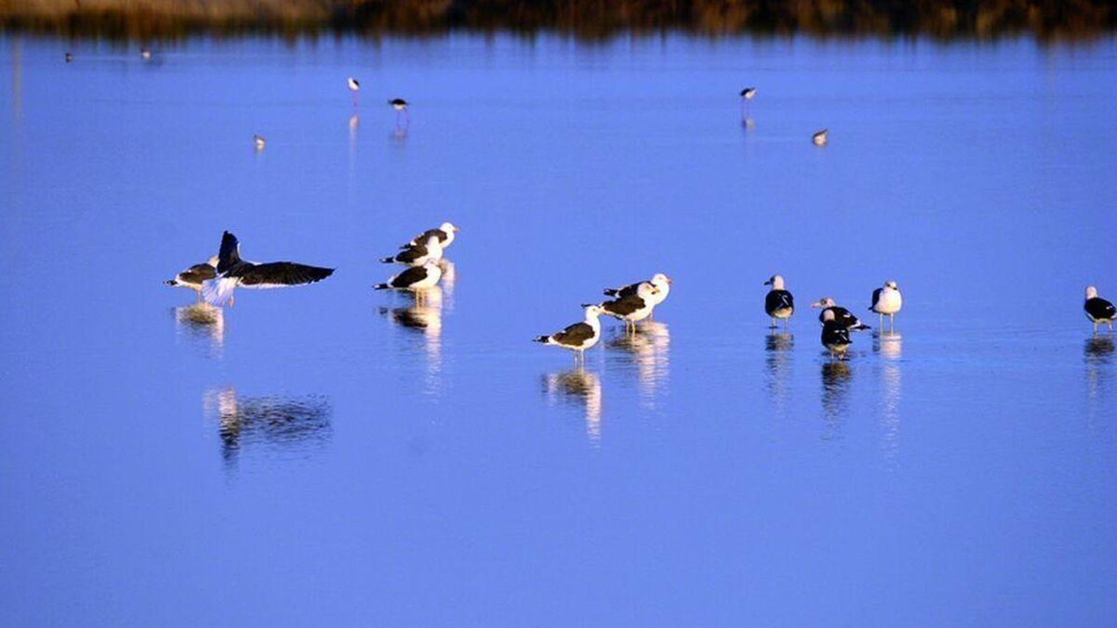Monumento Natural Punta del Boquerón