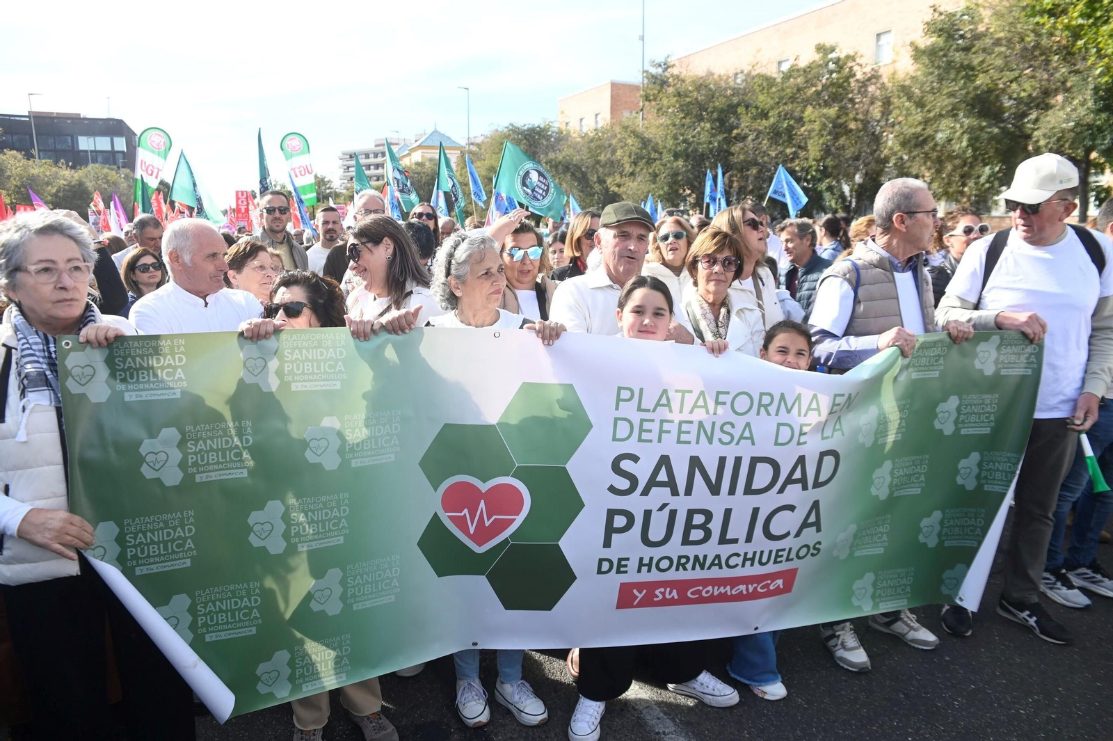 La manifestación en defensa de la sanidad pública en Córdoba