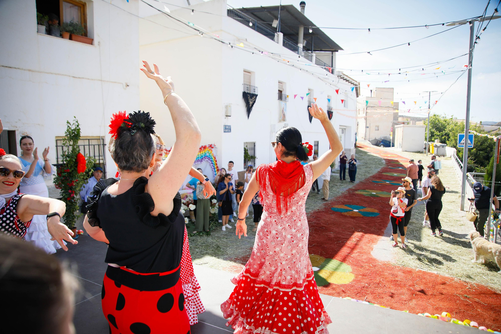 Así es la gran alfombra de serrín para que levite la Virgen de Fátima de Tíjola