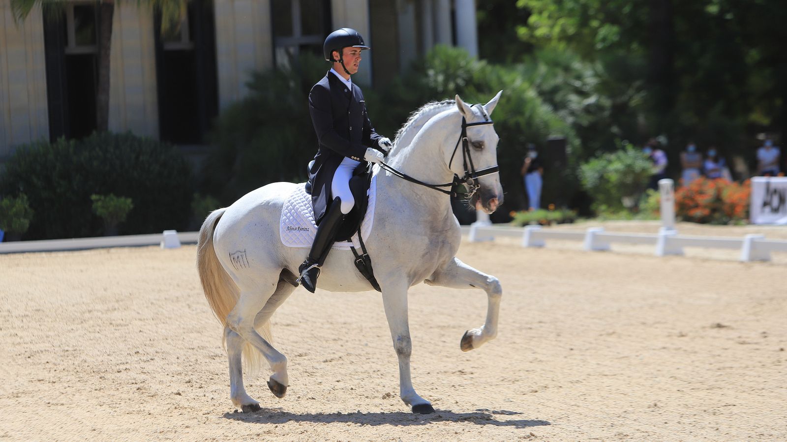 Concurso de Doma Clásica en Real Escuela