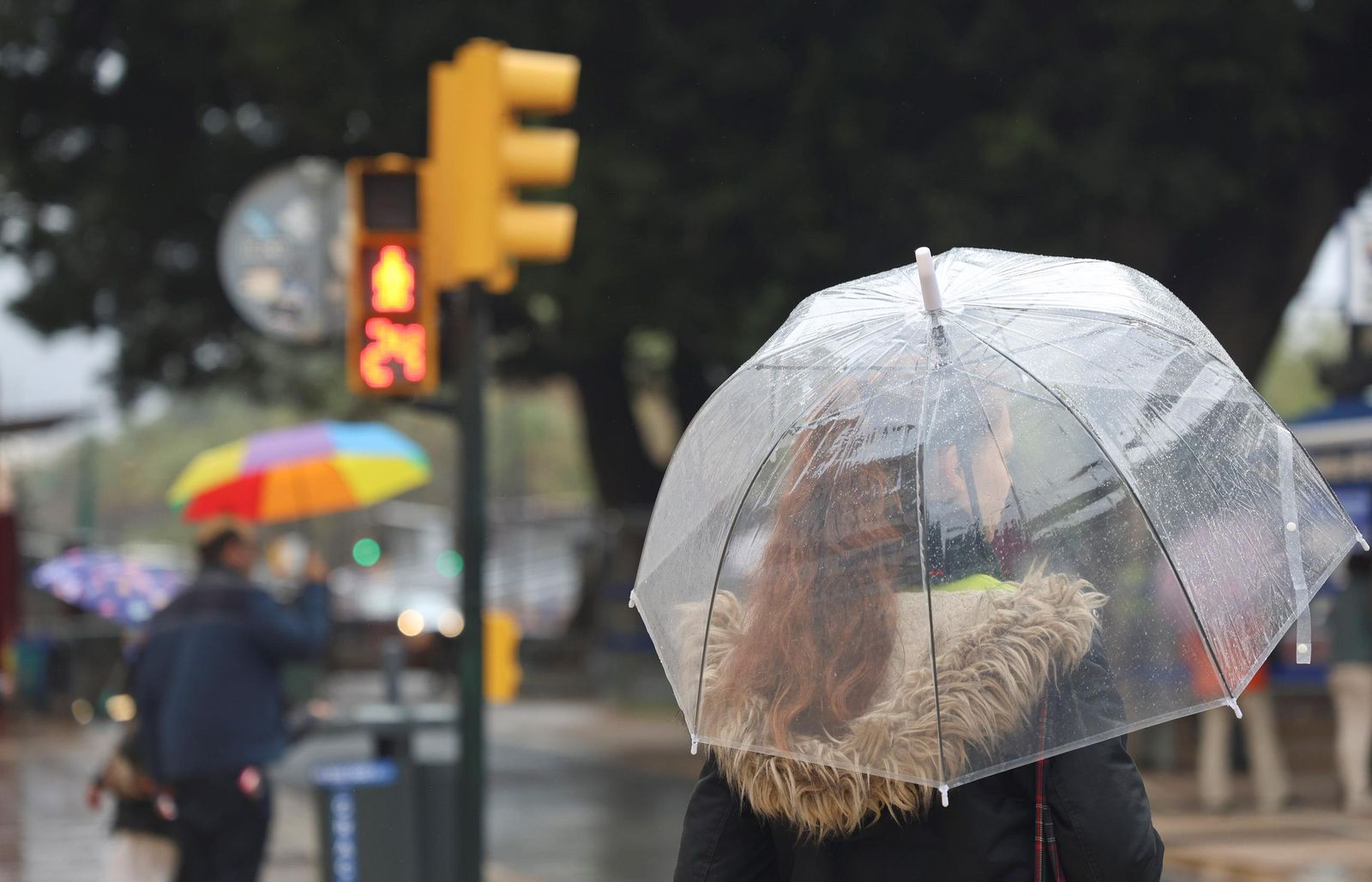 Se esperan lluvias en Málaga durante los próximos días