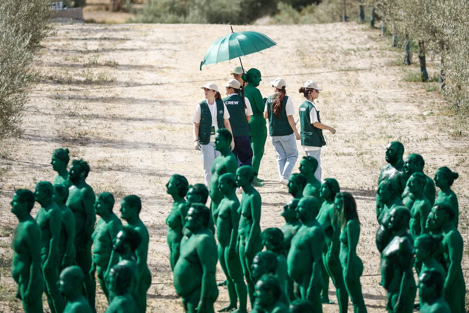 Las mejores imágenes del posado para Spencer Tunick en un olivar granadino.