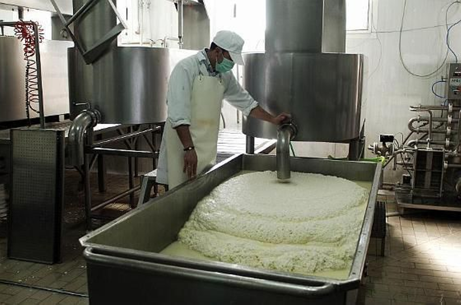 El arte del queso artesanal en la fábrica de Payoyo en Villaluenga. 

Foto: Ramon Aguilar