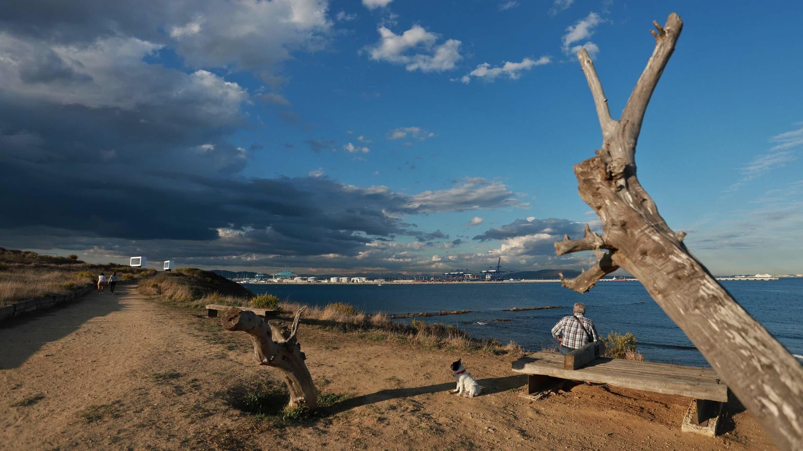 Las mejores fotos del parque de El Centenario en Algeciras